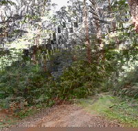 End Peak walking track - Accommodation Mooloolaba