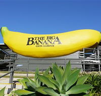 The Big Banana - Accommodation Mooloolaba