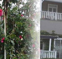 House of Gabriel - Accommodation Mooloolaba