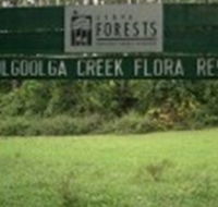 Woolgoolga Creek Flora Reserve - Accommodation Mooloolaba
