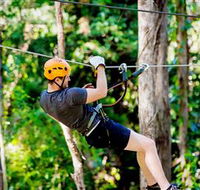 TreeTop Challenge Currumbin - Accommodation Mooloolaba