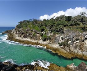 North Gorge Walk - Accommodation Mooloolaba 3