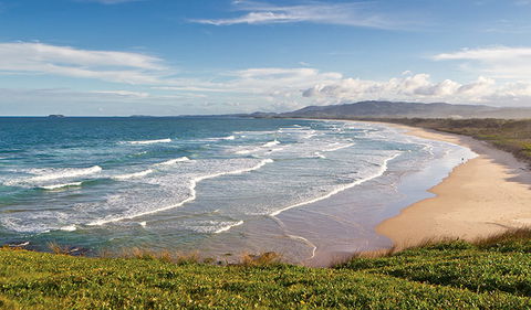 Moonee Beach Nature Reserve - Accommodation Mooloolaba 1