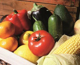 Summerland House Farm - House With No Steps - Accommodation Mooloolaba 1