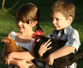 Summerland House Farm - House With No Steps - Accommodation Mooloolaba 2