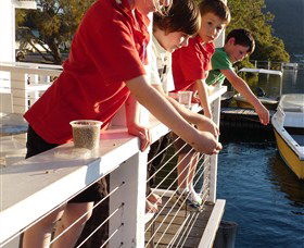Dunbogan Boatshed - Accommodation Mooloolaba 3