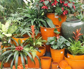 Diamond Waters Garden Nursery - Accommodation Mooloolaba 1