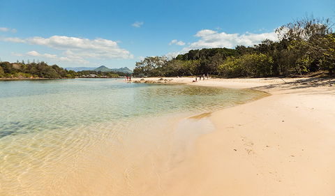 Brunswick Heads Nature Reserve - Accommodation Mooloolaba 0