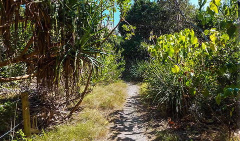 North Head Walking Track - Accommodation Mooloolaba 0