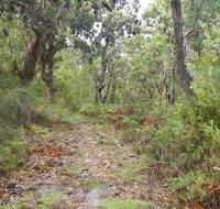 Kinchela Trig Lookout walk - Accommodation Mooloolaba