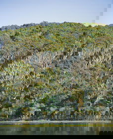 Ben Boyd National Park - Accommodation Mooloolaba 5