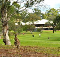 Pambula Merimbula Golf Club - Accommodation Mooloolaba
