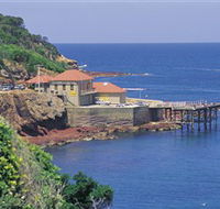 Merimbula Aquarium - Accommodation Mooloolaba