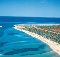 Monkey Mia - Accommodation Mooloolaba