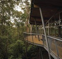 Tarkine Forest Adventures - Dismal Swamp - Accommodation Mooloolaba