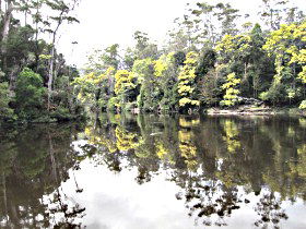 Arthur River TAS Accommodation Mooloolaba