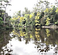 Arthur River - Accommodation Mooloolaba