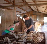 Peron Homestead - Accommodation Mooloolaba