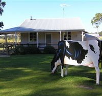 Millers Ice Cream - Accommodation Mooloolaba