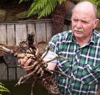 Lobster Ponds - Accommodation Mooloolaba