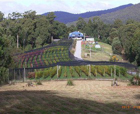 North Motton TAS Accommodation Mooloolaba