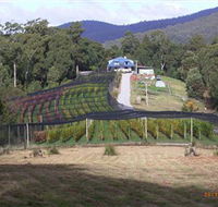 Motton Terraces - Accommodation Mooloolaba