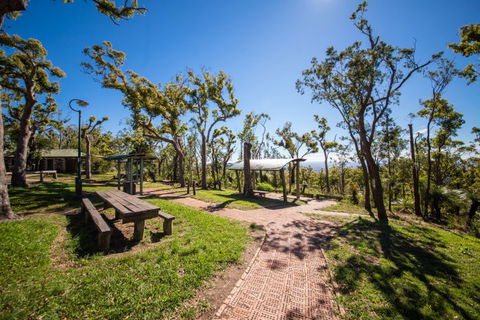 Rockhampton To Carnarvon Gorge Four Night Drive - Accommodation Mooloolaba 1