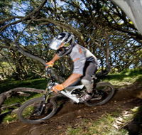 All Terrain Cycles - Accommodation Mooloolaba