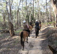 Silver Brumby Trails - Accommodation Mooloolaba