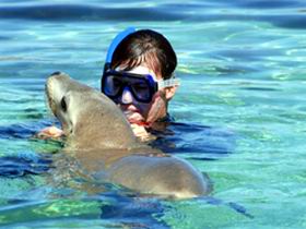 Gawler Ranges Wilderness Safaris - Accommodation Mooloolaba 2