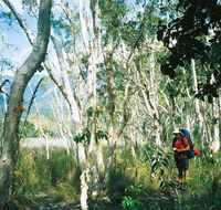 Thorsborne Trail Hinchinbrook Island National Park - Accommodation Mooloolaba