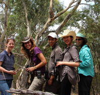 Echidna Walkabout Nature Tours - Accommodation Mooloolaba