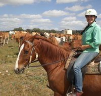 Myella Farm Stay Tours - Accommodation Mooloolaba