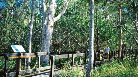 Kinaba Track - Accommodation Mooloolaba 0