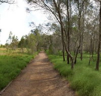 Billai dhagun Circuit Place of She-Oaks - Accommodation Mooloolaba
