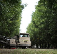 ODempseys Charters and Tours - Accommodation Mooloolaba