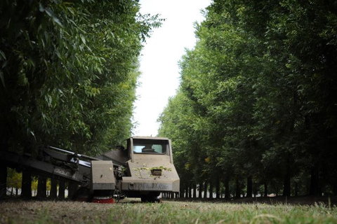 ODempseys Charters And Tours - Accommodation Mooloolaba 0