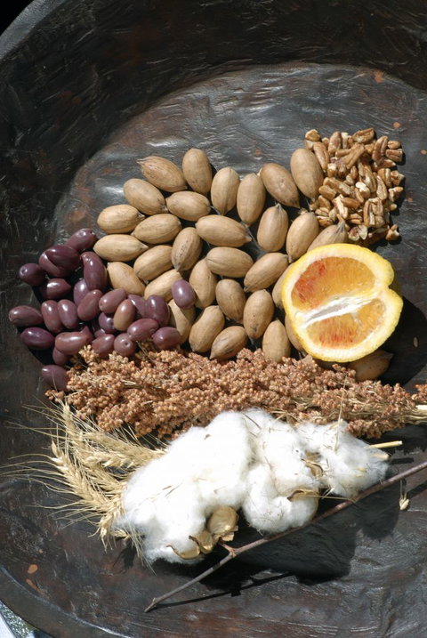 ODempseys Charters And Tours - Accommodation Mooloolaba 2