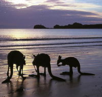 Beachcomber Cove Track - Accommodation Mooloolaba