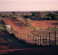 Tri State Safaris - Accommodation Mooloolaba