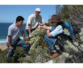 Sapphire Coast Ecotours - Accommodation Mooloolaba 0