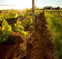 Kaesler Old Vine Vineyard Tour - Accommodation Mooloolaba