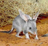 Stars Parks and Legends Drive - Accommodation Mooloolaba