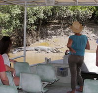 Whitsunday Crocodile Safari - Accommodation Mooloolaba