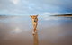 Fraser Island Adventure Tours - thumb 4