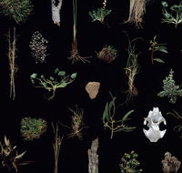 Weswal Gallery - Accommodation Mooloolaba