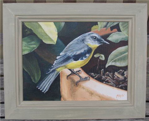 Frew Artworks - Accommodation Mooloolaba 2