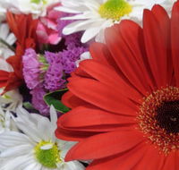 Marysworldart Bali Imports - Accommodation Mooloolaba