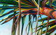 Susan Schmidt Art - thumb 0