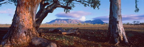 Nissarana Galleries Noosa - Accommodation Mooloolaba 1